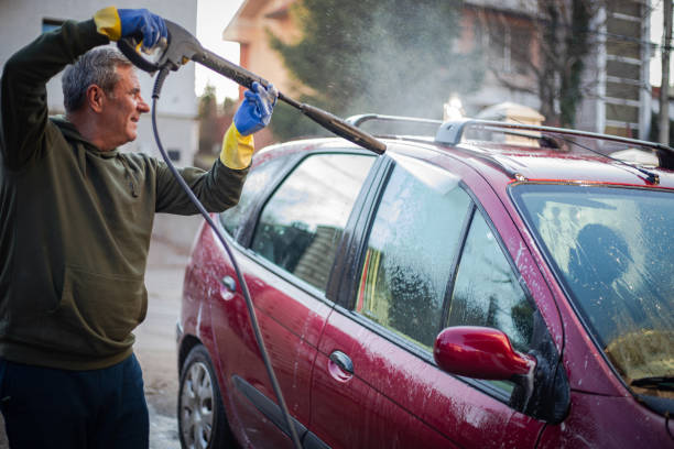 Best House Pressure Washing  in Louisiana, MO