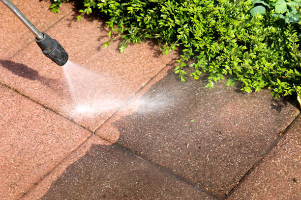 Best Roof Pressure Washing  in Louisiana, MO